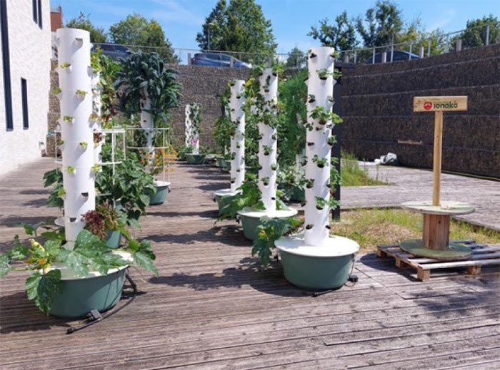 Jardin 12
