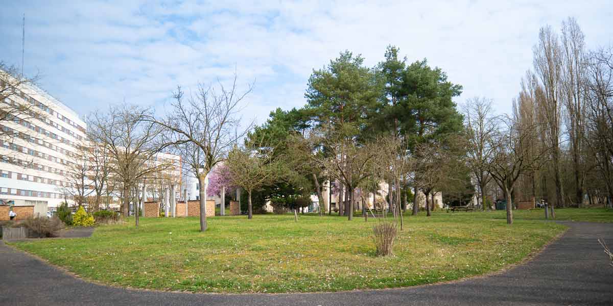 Jardin 11