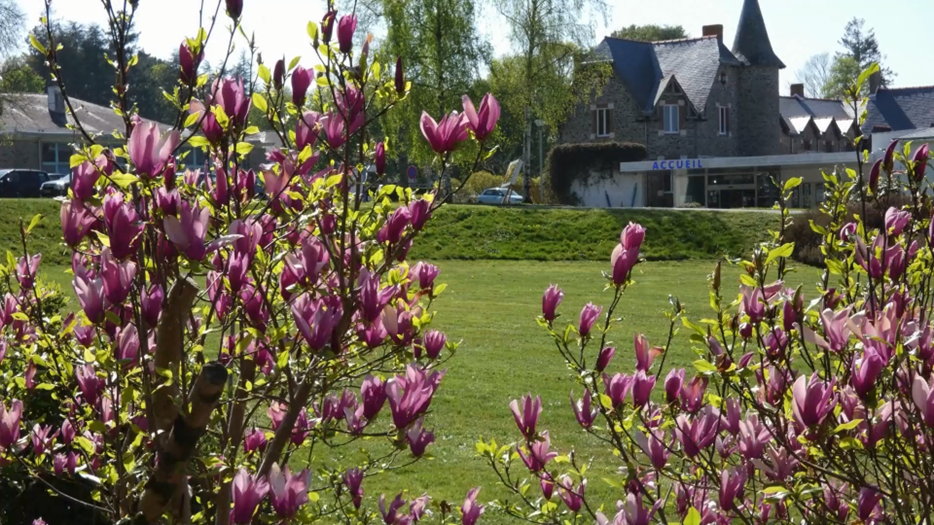 Jardin 13