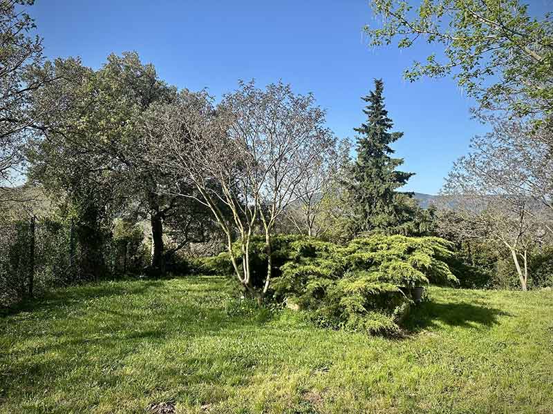 Jardin 6