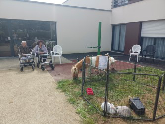 Jardin 8