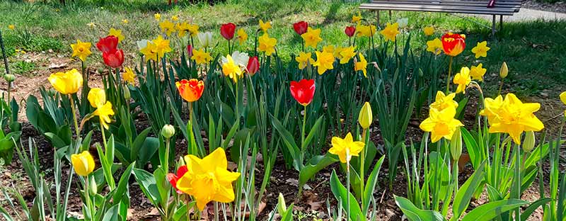 Jardin 22
