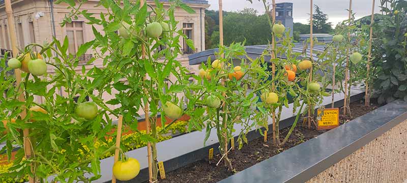 Jardin 23