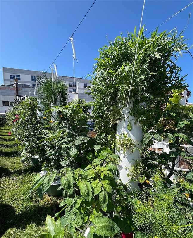 Jardin 26