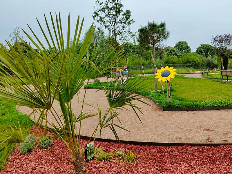 Jardin 31