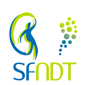 logo-sfndt