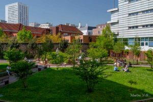 retex-hopital-st-joseph-jardin