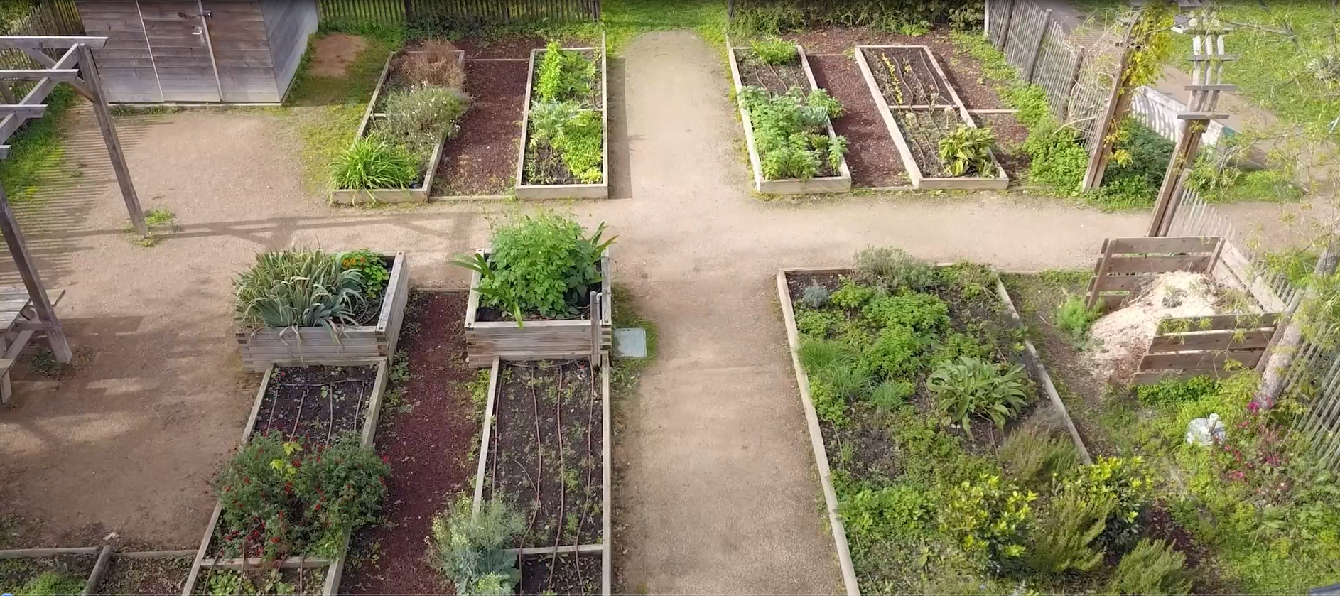 Jardin 25