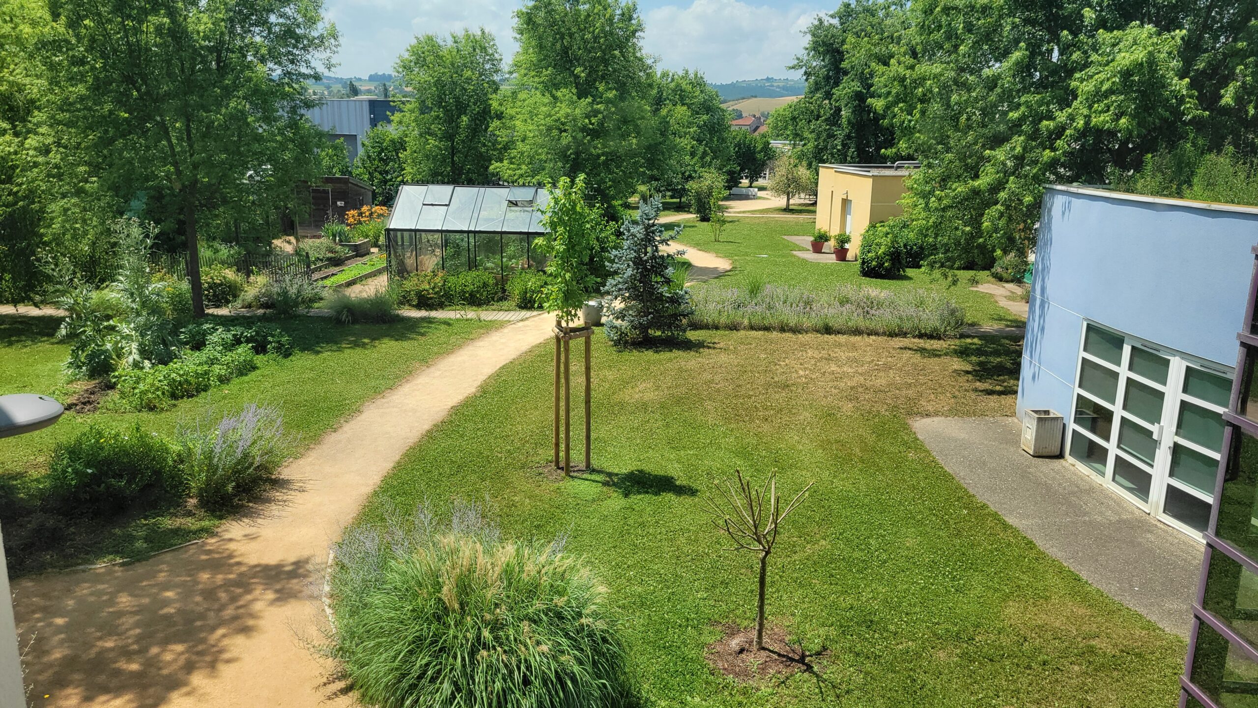 Jardin 25