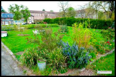 Jardin 11