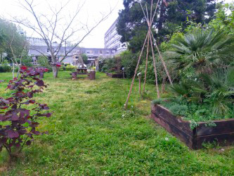 Jardin 20